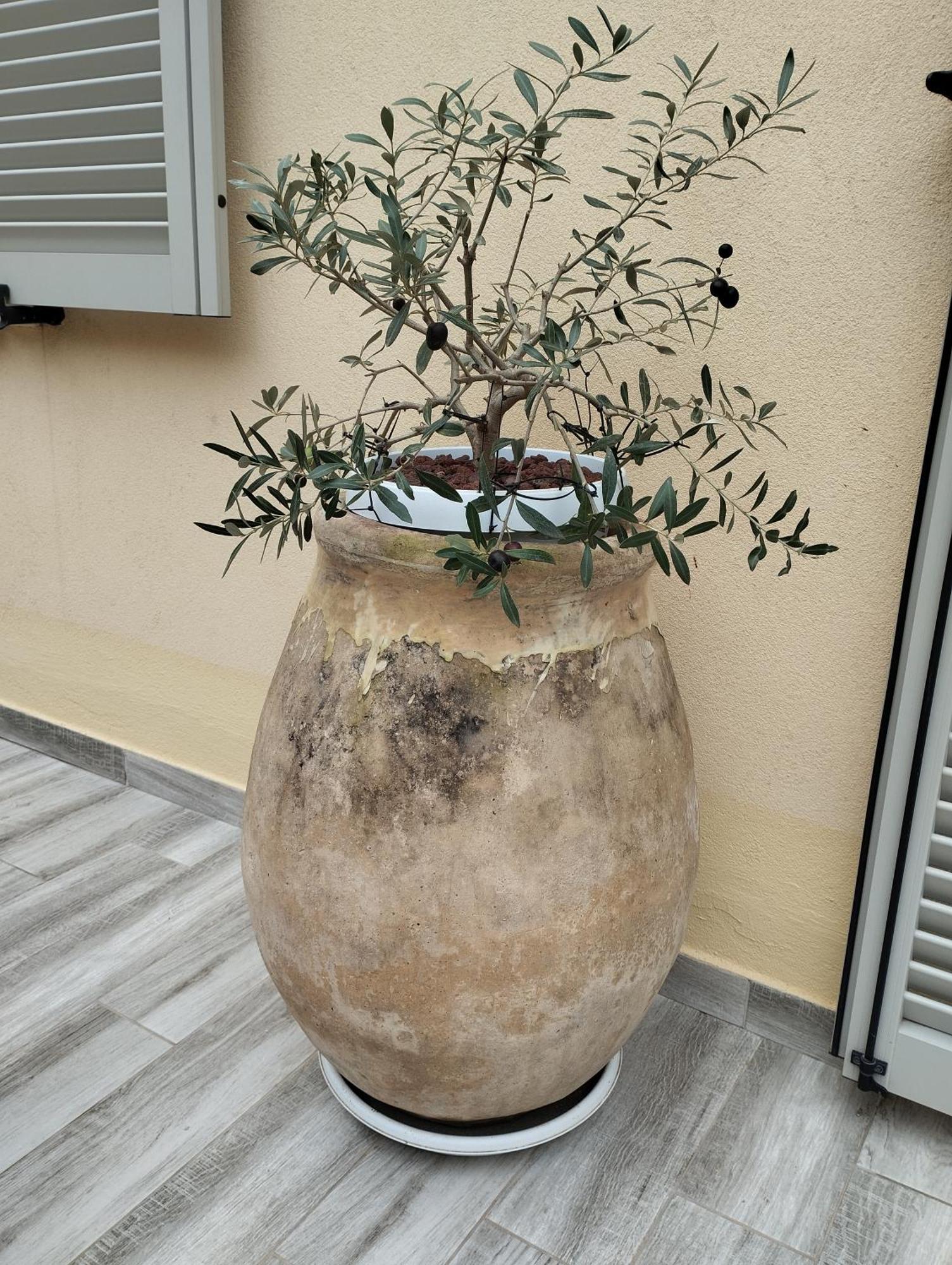 Pama Mar Appartement Imperia Buitenkant foto