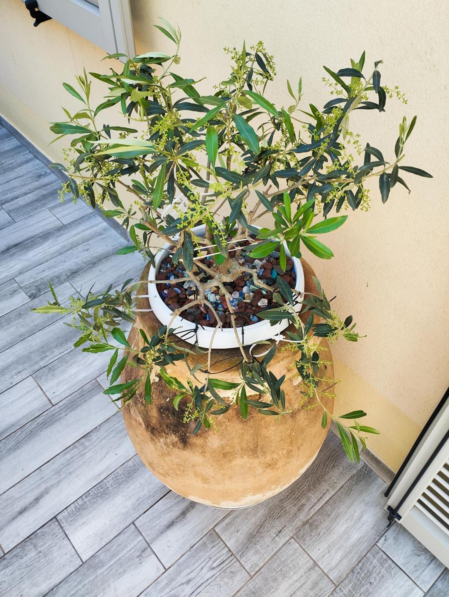 Pama Mar Appartement Imperia Buitenkant foto